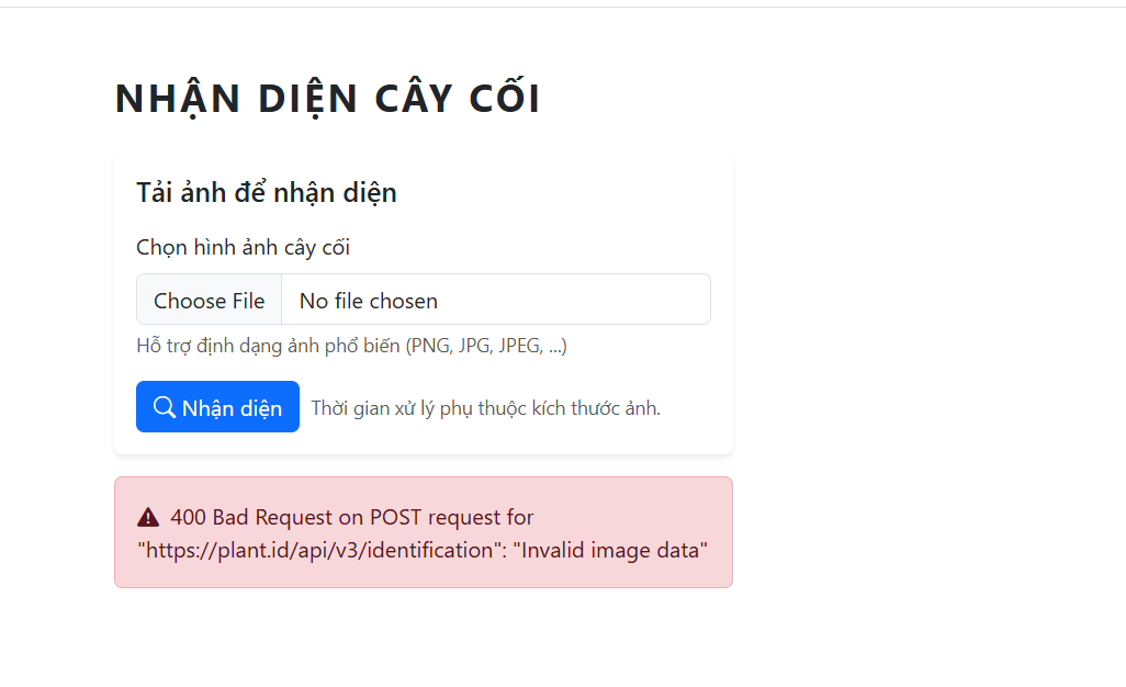 Hình ảnh dự án